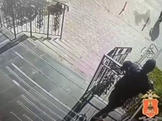 Бездомный Кот в Твери: За Угон Велосипеда Грозит Тюремный Срок