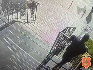 Кот Воришка: Как В Твери Угнали Велосипед На 25 Тысяч Рублей