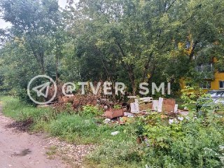 Мусорная свалка в центре Твери вызывает обеспокоенность жителей