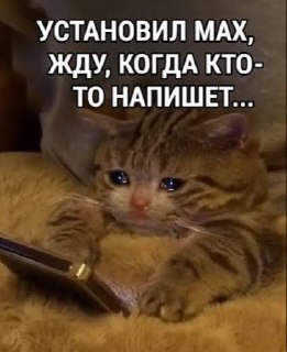 Мессенджер MAX будет обязательным на всех устройствах с 2027 года